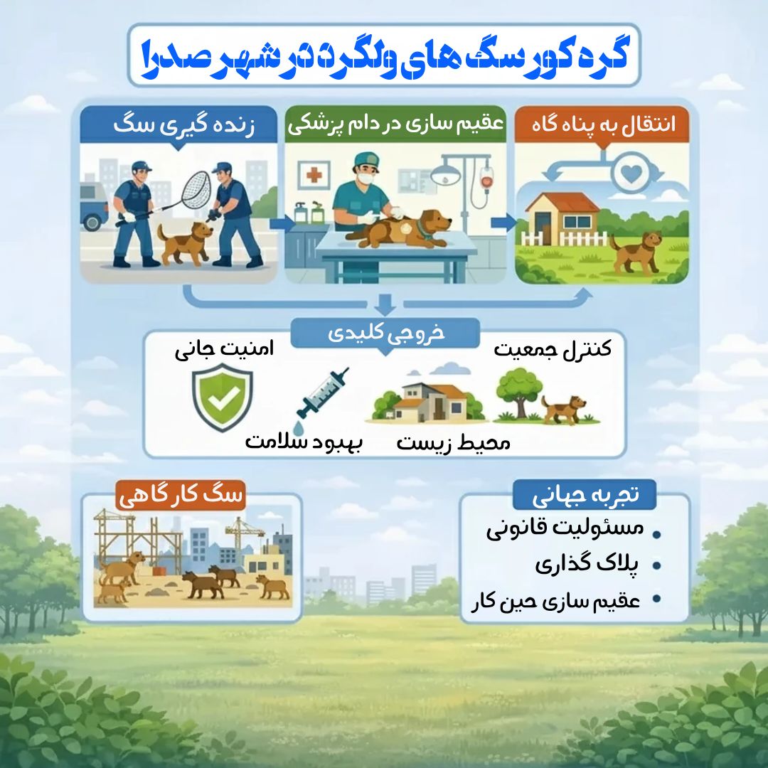 گره کور سگ های ولگرد در ظهر جدید صدرا