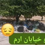 انباشت زباله در پارک خیابان ارم صدرا؛ محل انتظار داوطلبان آزمون رانندگی