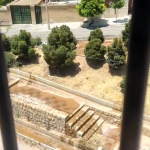 درخواست شهروندان صدرا برای اصلاح شیوه آبیاری درختان