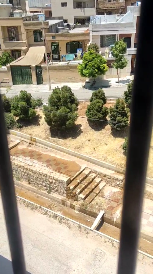 درخواست شهروندان صدرا برای اصلاح شیوه آبیاری درختان