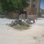 راهکار مدیریت پسماندهای حجیم و گیاهی در فضای شهری صدرا