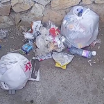 ضرورت توجه به بهداشت محیط در اکوپارک صدرا